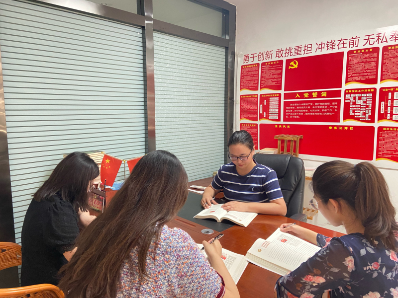 安徽天信税务师事务所党支部多措并举 扎实开展党史学习教育